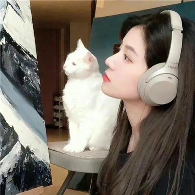 过激网红意外事件